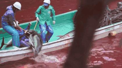 全网最近大事件,最大丑闻案件