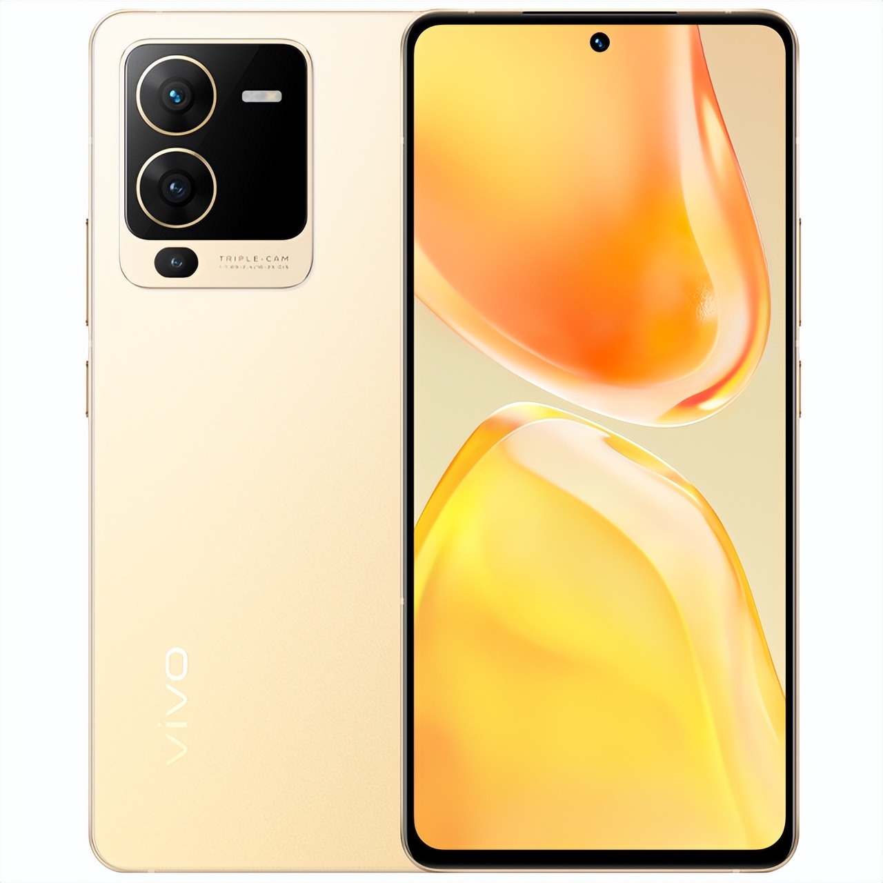 主摄有光学防抖的手机有哪些,这款手机的主摄支持光学防抖吗