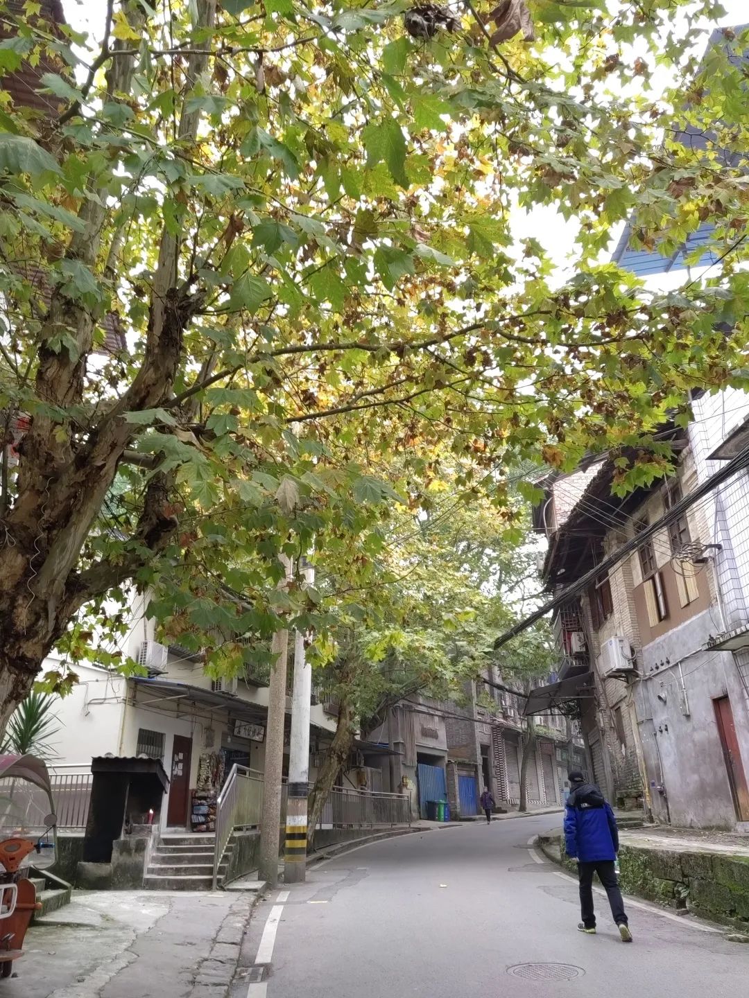 2元轮渡、怀旧老街……这里藏着难得一见的老重庆韵味