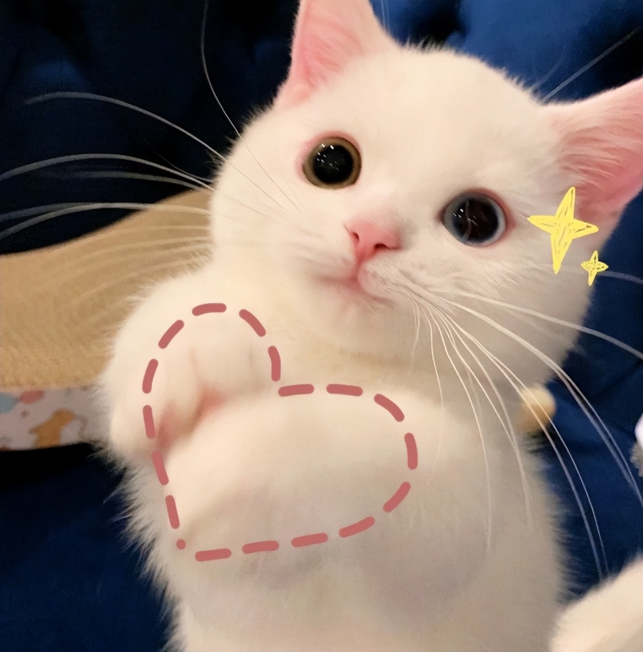 新房装修家电实用推荐图,小户型装修攻略家电