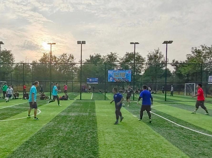 挥洒汗水追梦绿茵,挥洒汗水足球