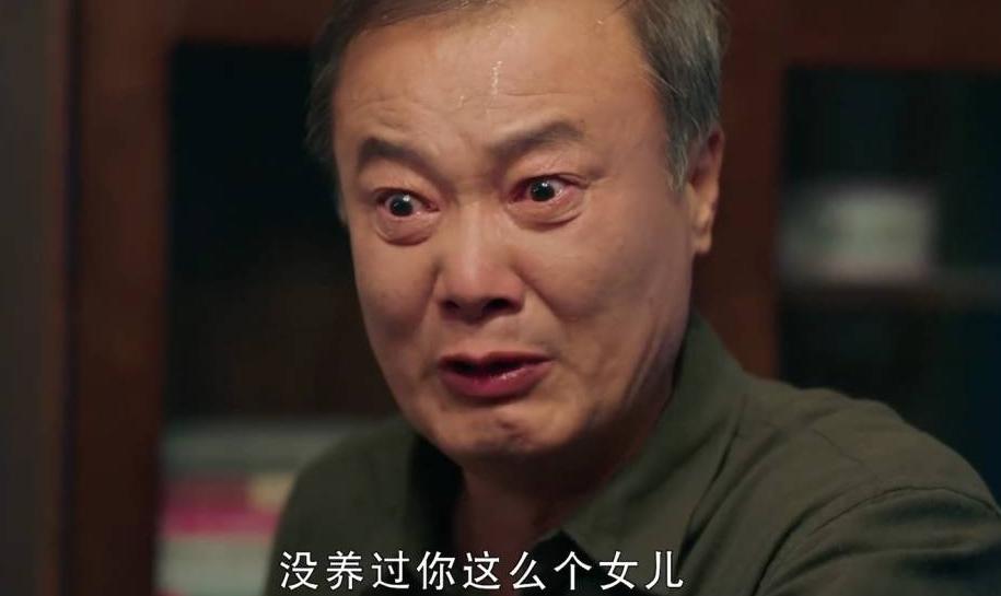 央视连续剧心想事成,心想事成电视剧演员阵容