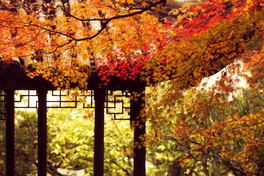 一次游完苏州4大园林攻略,逛苏州四大园林花费