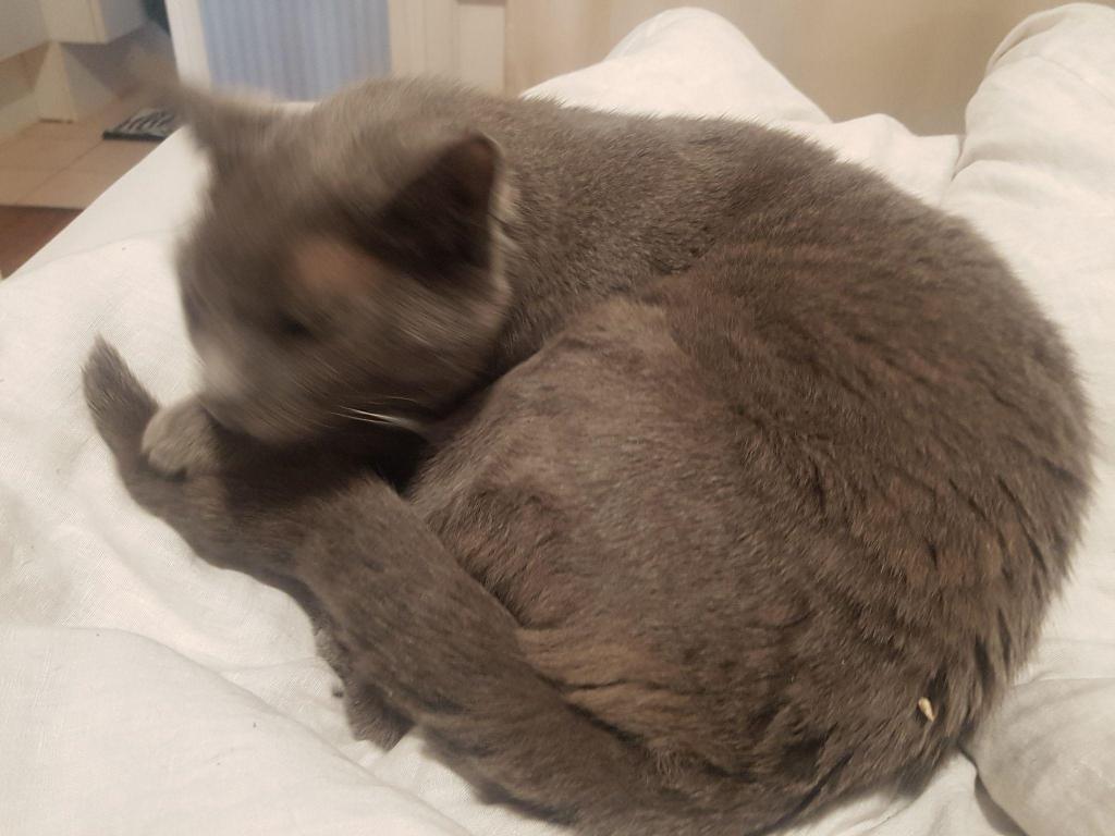 如何证明图灵完备,图灵完备条件判断