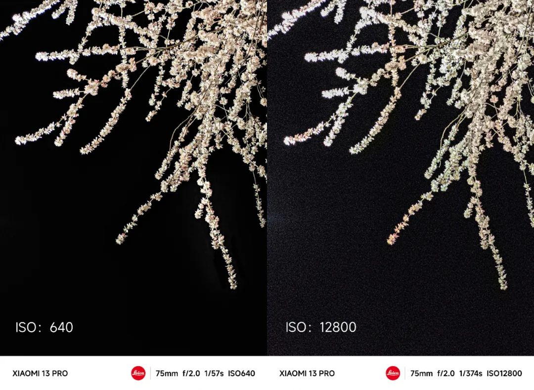 小米手机专业模式拍夜景,小米手机专业模式拍照教学