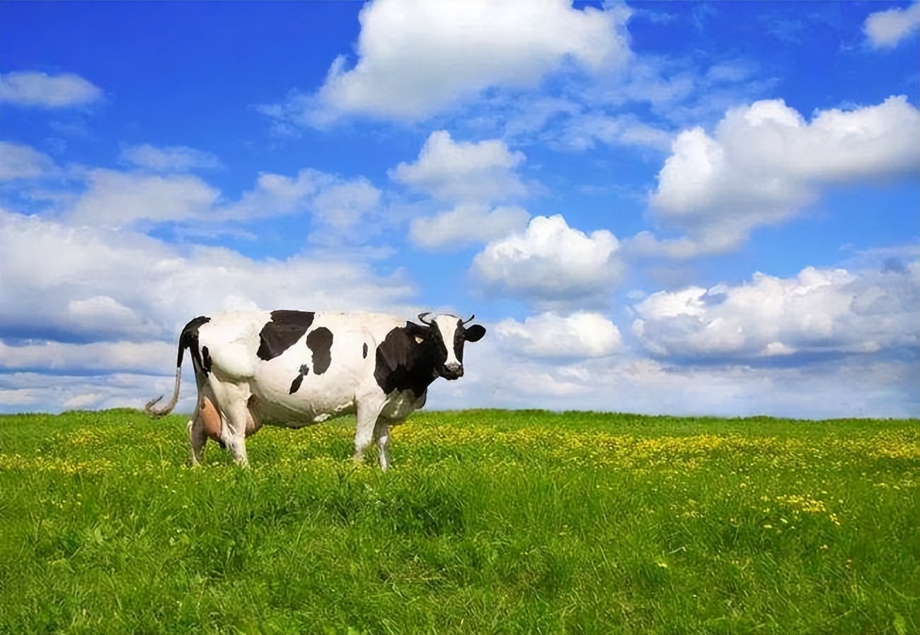超市天价牛奶,高价牛奶是智商税吗