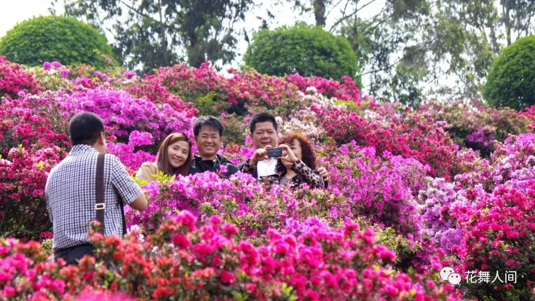 花卡特惠,新春钜惠不容错过