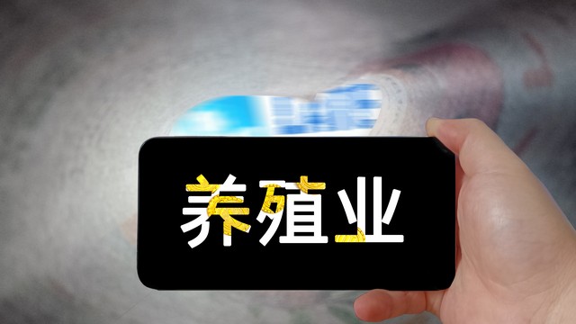 现在的养殖业什么最有发展前途,现在农村养殖业什么前景最好