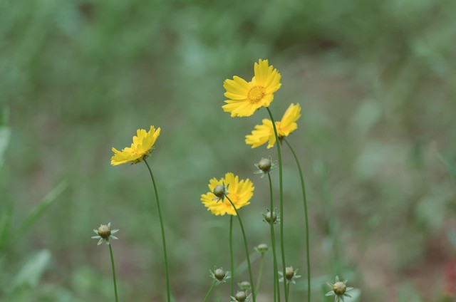 这辈子只认真的爱过你一个人,原来一辈子真的可以只爱一个人