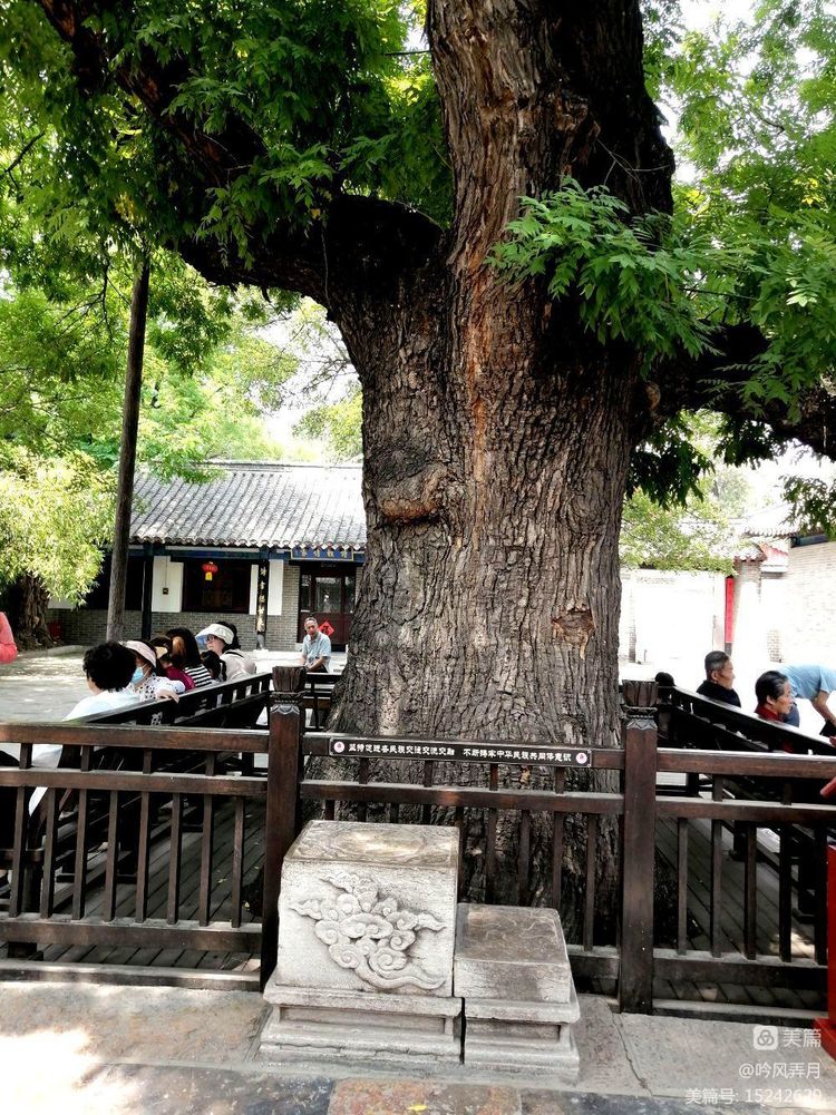 曲阜三孔介绍文章,曲阜三孔朗诵