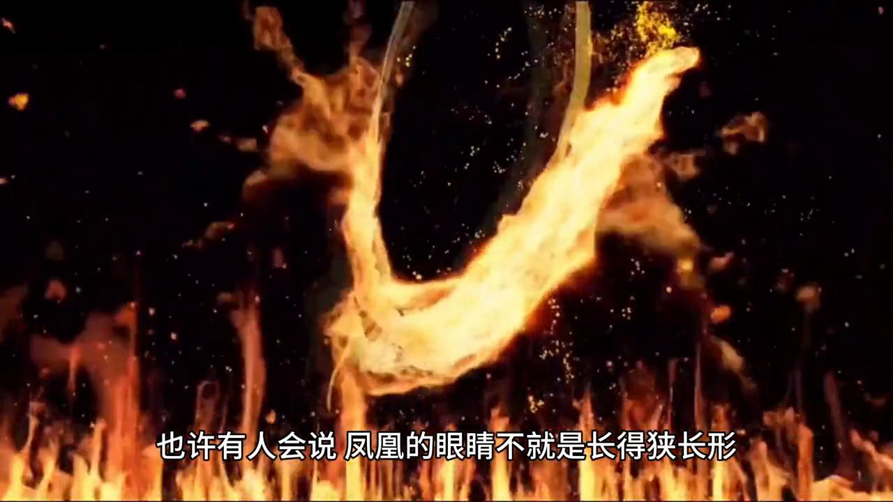 怎样的眼睛形容词,眼睛丹凤眼的标准图片