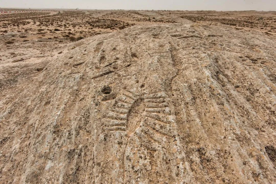世界杯冷知识大全集,世界杯举办国卡塔尔的冷知识