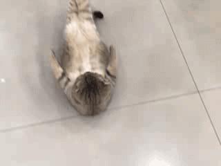 公司上班职业装女,公司发的职业装太紧