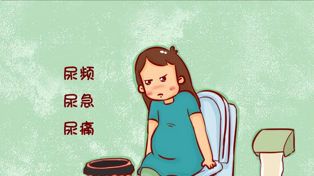 女性尿路感染发生风险高达男性14倍？为何？预防与用药有何讲究？