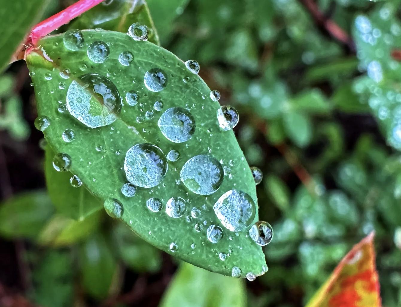 值得入手的高清拍照手机推荐,拍照性能最好的是哪一款手机