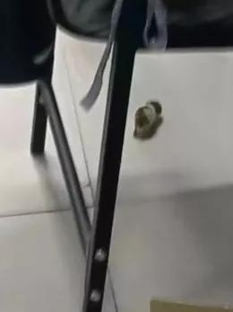 熊熊饲养,熊熊饲养方法