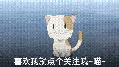 宠物店有哪些坑人的套路,在宠物店买狗怎么避免不被坑