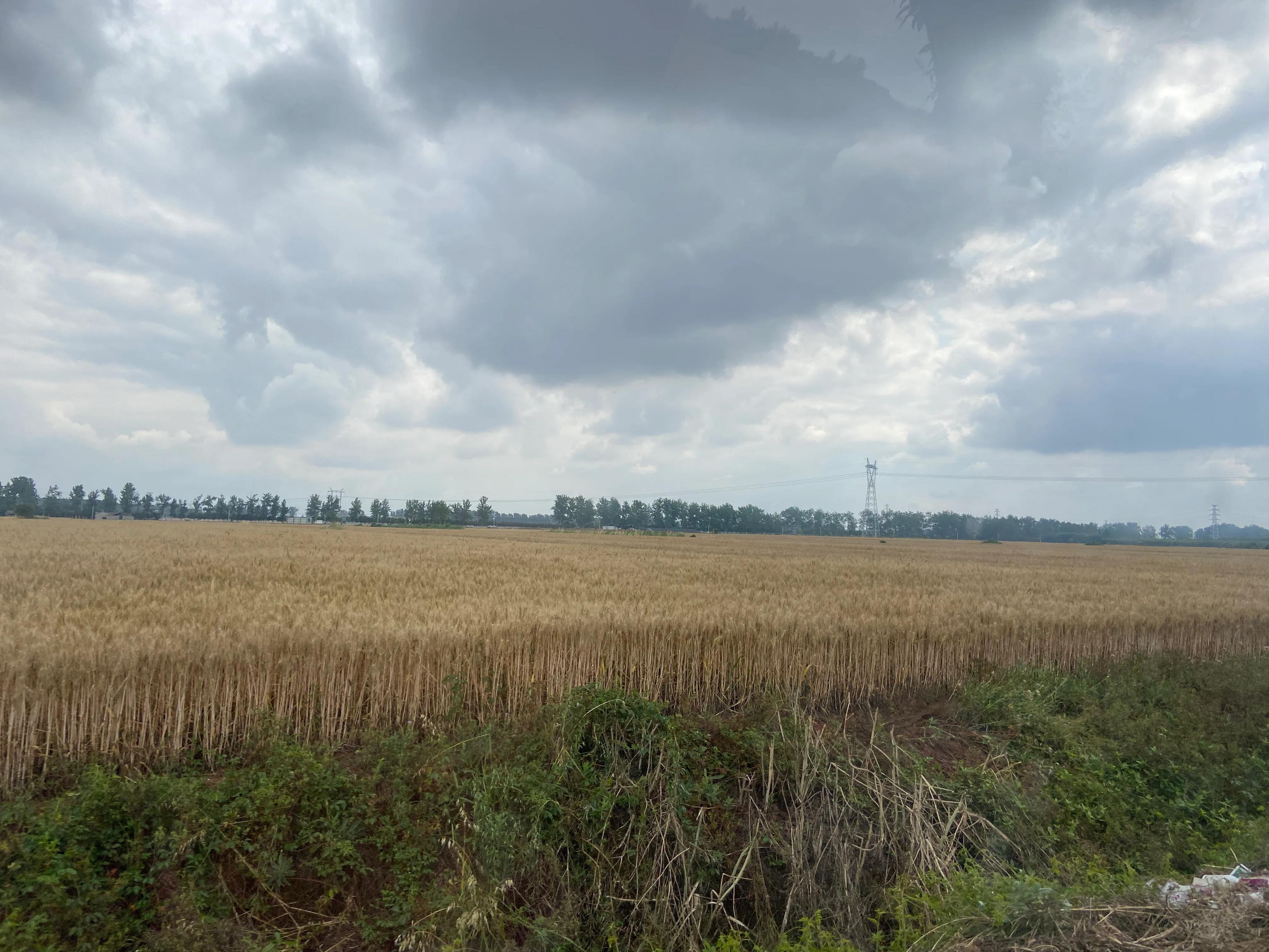 老公被骗做传销被抓,老公被骗到国外