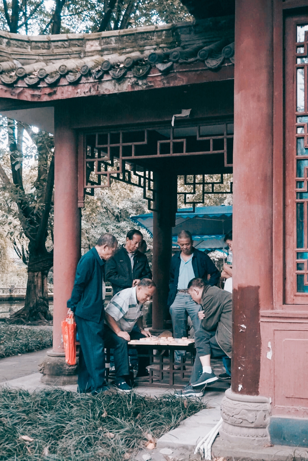 微单：SONYα6000手机：XIAOMIMIX4记录我的美好时刻