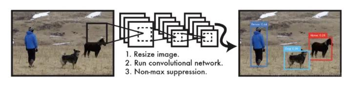 如何快速使用yolo,学习yolo之前要掌握什么知识