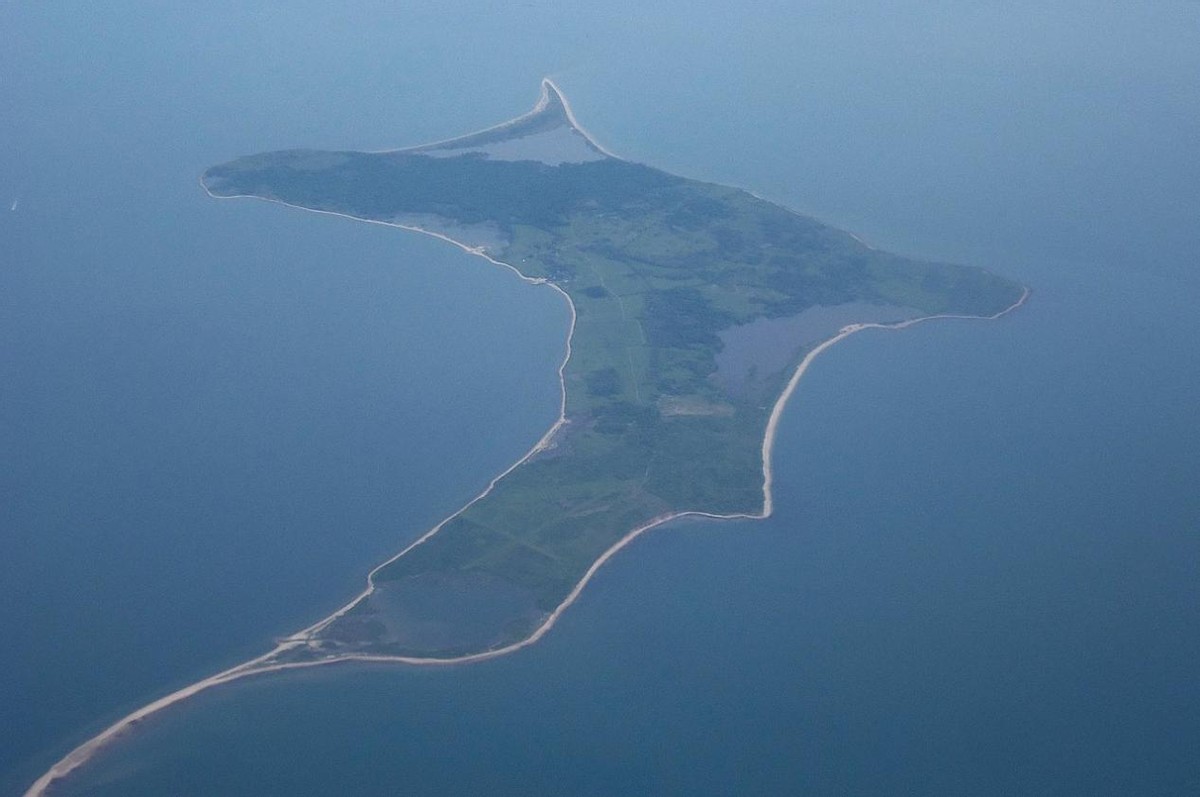 能徒手敲开椰子壳，上树捕杀海鸟，被它夹一下相当于被狮子咬一口