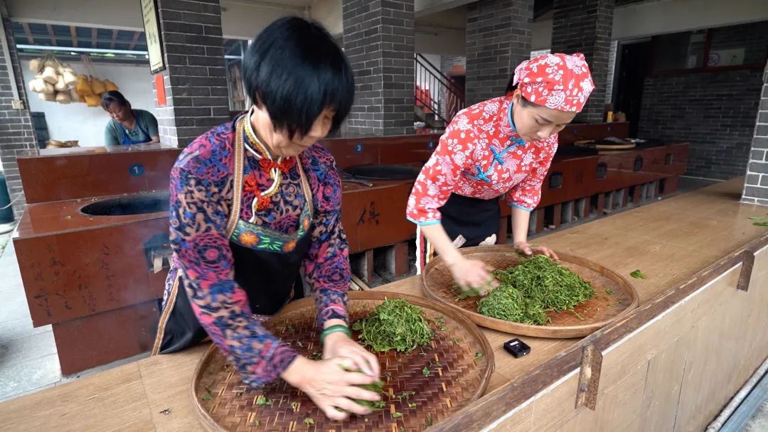 一个小时能采摘多少斤茶叶,原来采摘1斤茶叶需要4小时