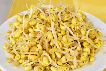 家庭如何自生豆芽？一根编织袋，两把黄豆，五分钟学会