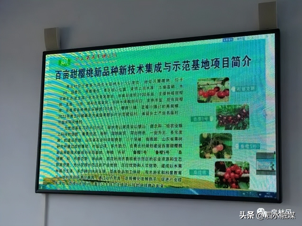 【交流学习促发展乡村振兴拓思路】泉林镇七一建*党**节组织村*党**支部赴先进乡镇乡村振兴示范村进行观摩学习