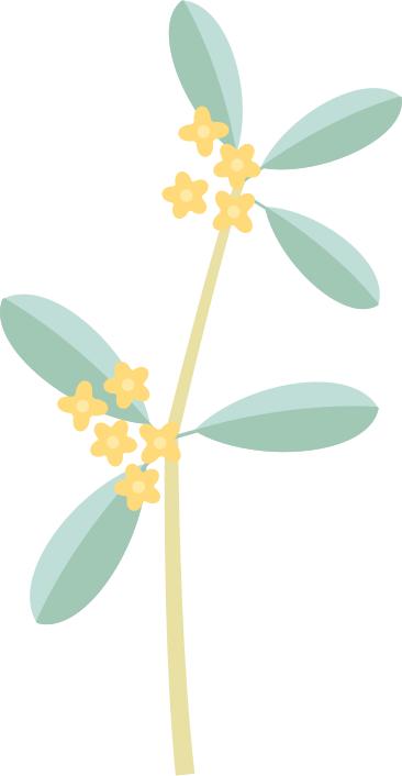 烟台南山公园游乐场怎么关了,烟台南山公园游乐场新项目