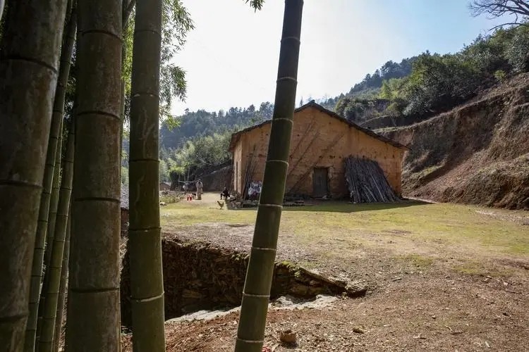 人大女毕业生伍继红现状,伍继红从人大毕业到沦为农妇