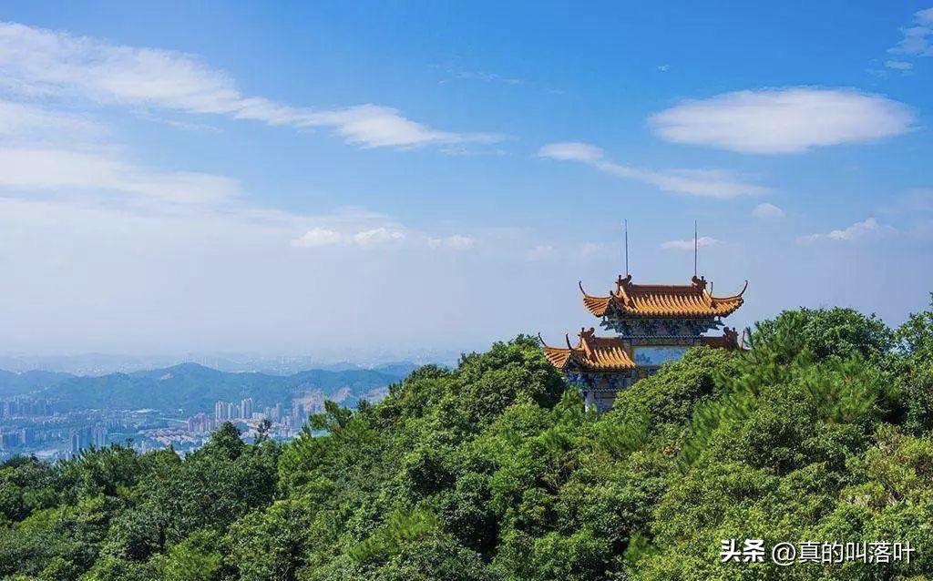 江门下川岛海岛攻略,江门的川岛海滩