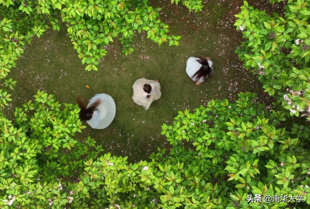 南华大学校花全集,校花南华大学