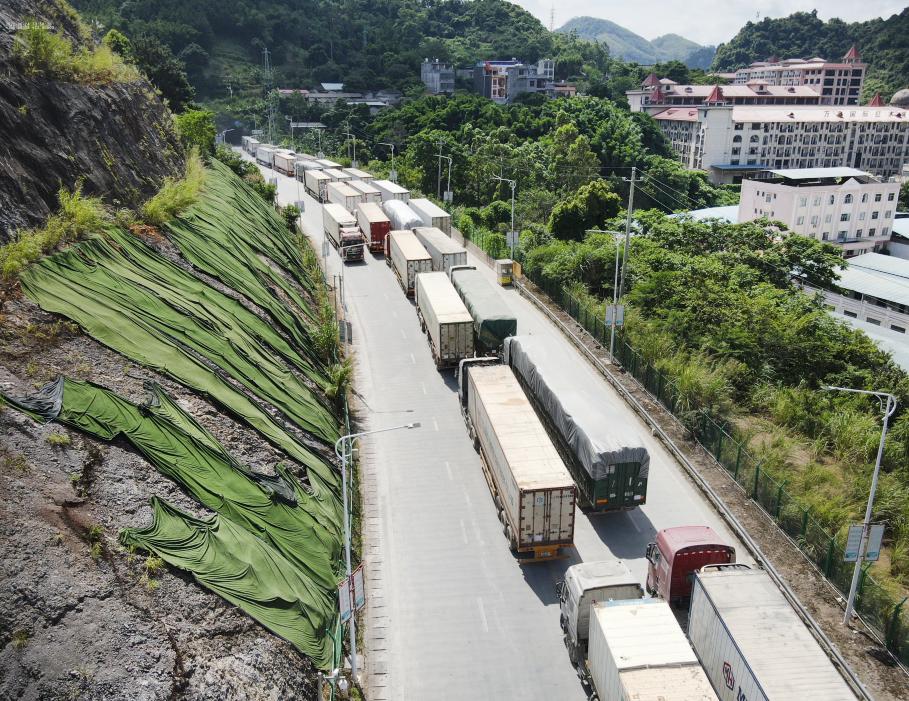 榴莲爱好者去果园,榴莲爱好者来打卡