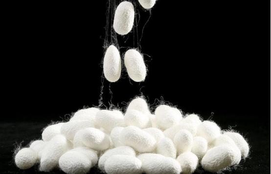 杭州蚕丝被品牌排名多少钱一床,杭州哪里的蚕丝被最正宗最好