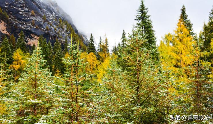 四川阿坝小金县旅游景点,四川小金县旅游攻略