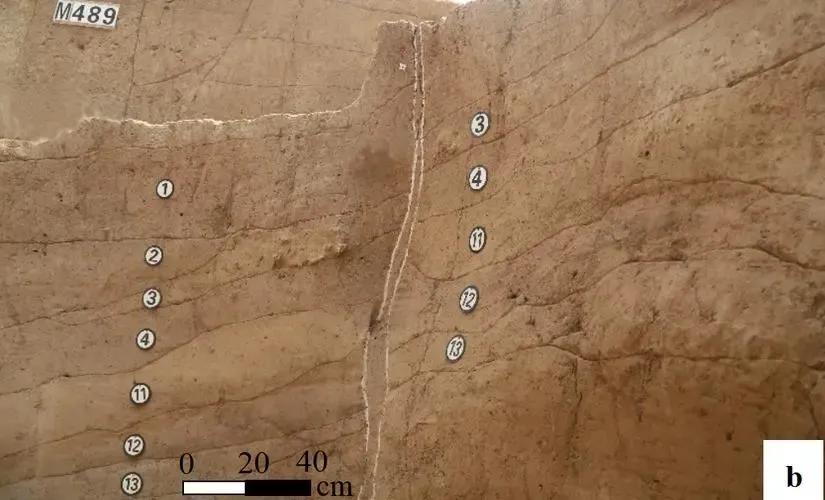 为什么新郑被称为黄帝故里,为什么说新郑是黄帝的故里