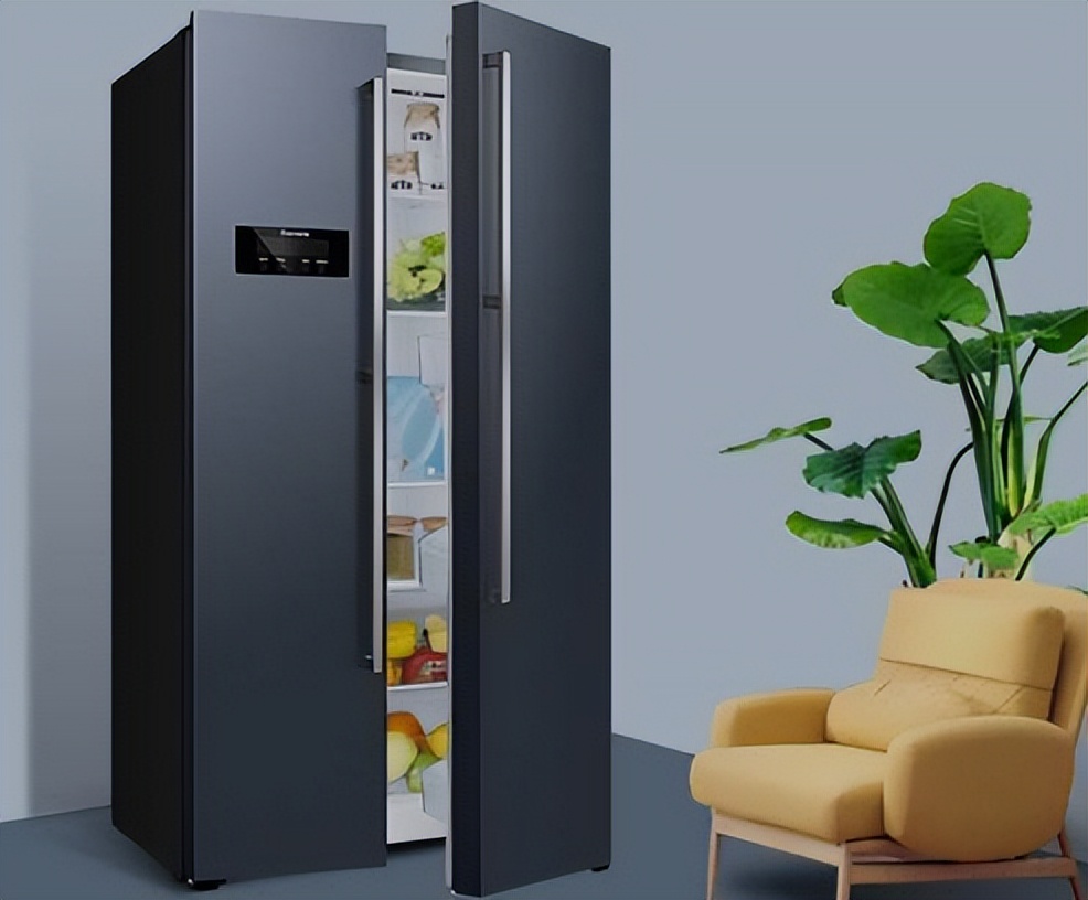 比较经济划算的双开门冰箱,双开门冰箱经济实惠对比