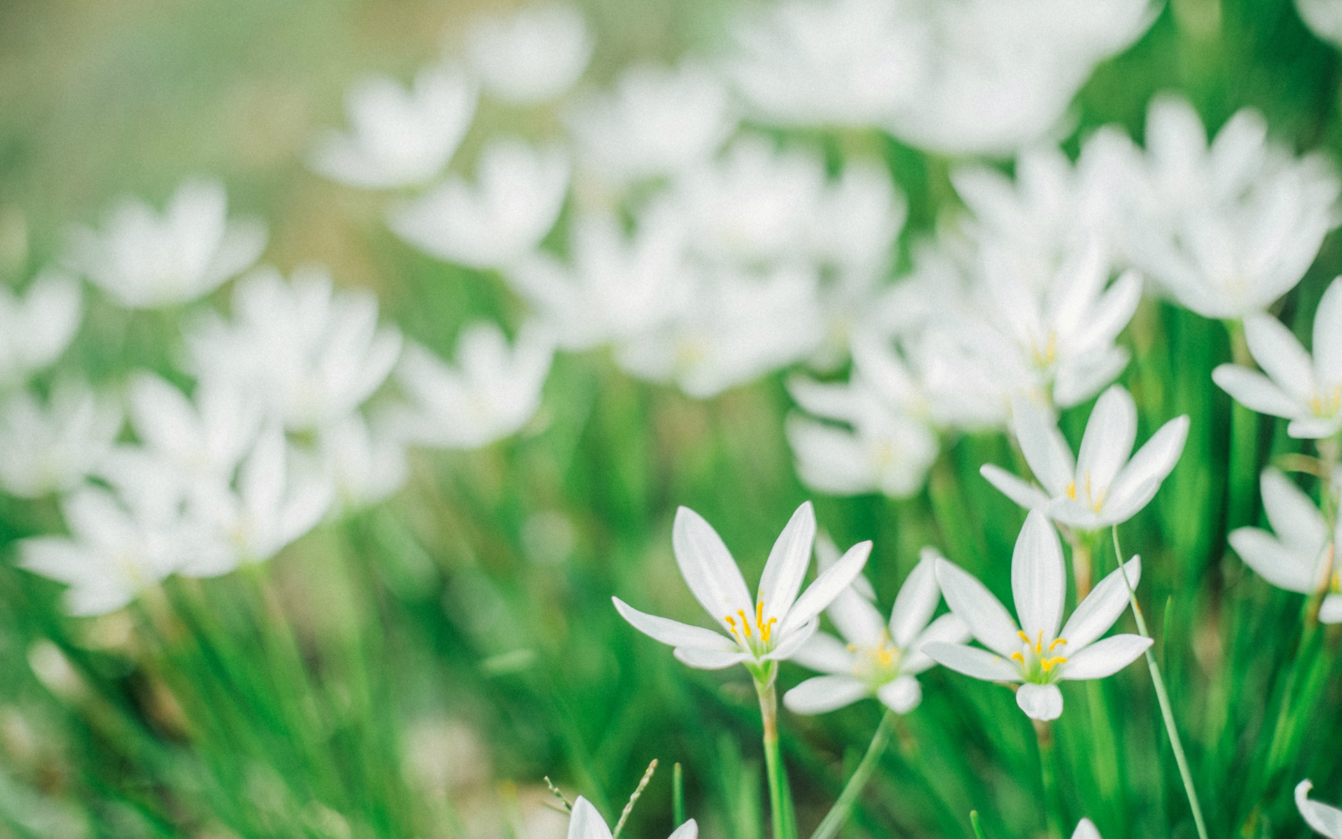 相依相偎难舍难分,男女之间无法割舍无法在一起