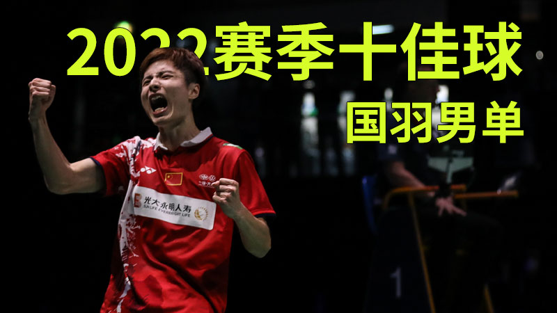 石宇奇雅思组合陈雨菲,石宇奇雅思对阵