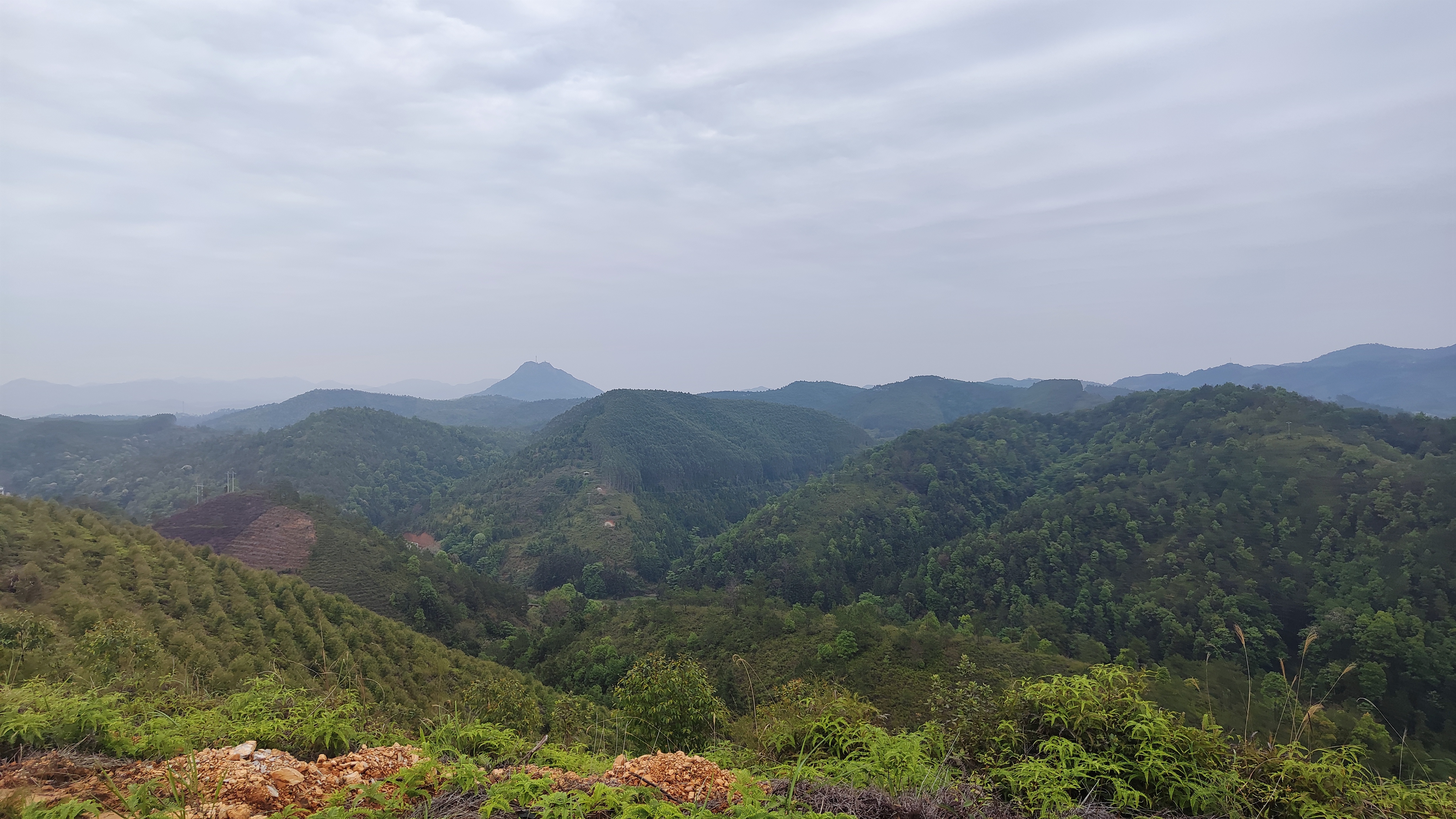 饮水思源的水是什么水,饮水思源的源怎么写