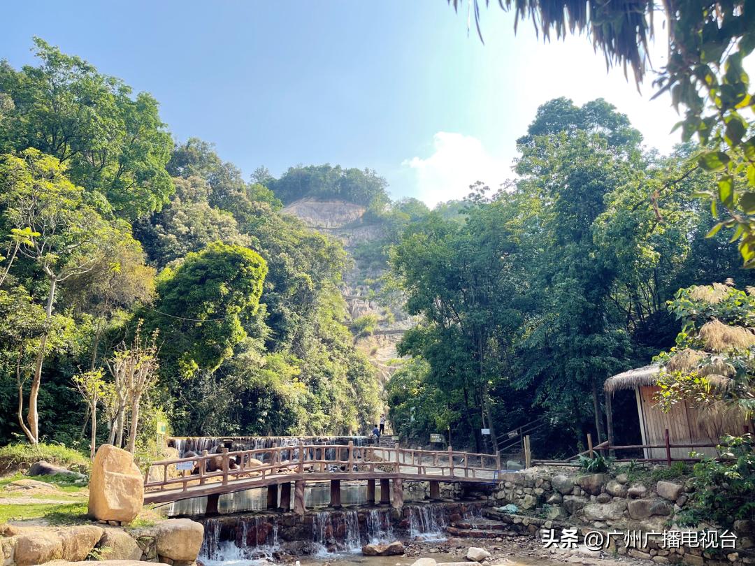 端午出游人数或达1亿人次,端午或有1亿人出游