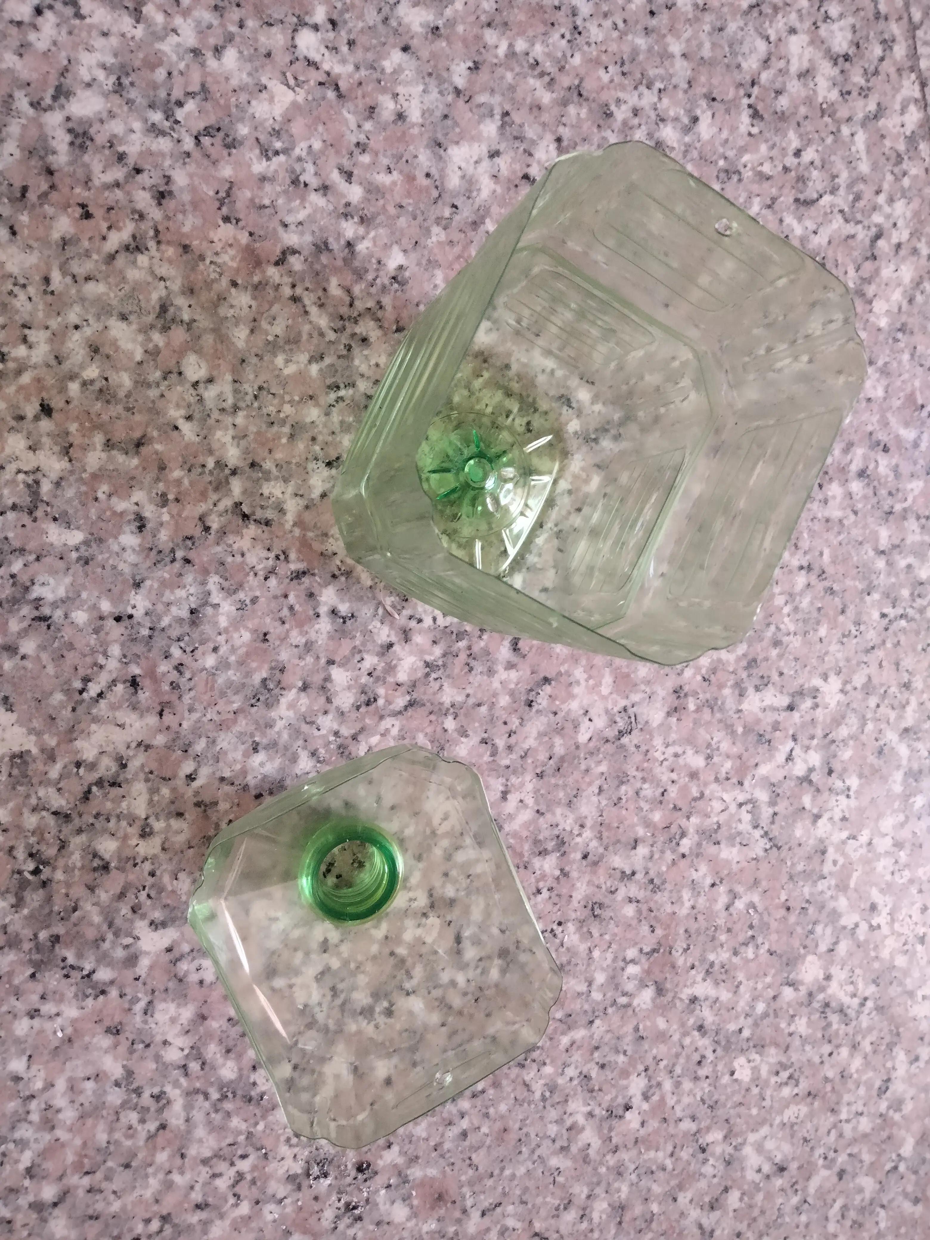 自制灭苍蝇蚊子最有效方法,夏季自制灭蚊虫小妙招