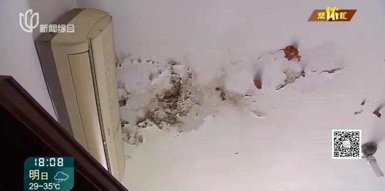 上海市地下室漏水新闻,上海楼房墙面漏水怎么办