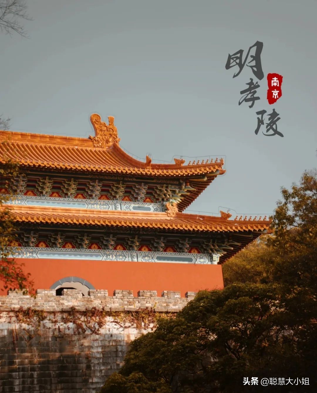 南京赏秋枫叶,南京秋天赏枫叶好去处