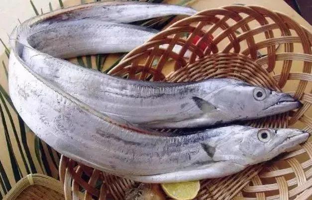 海鲜鱼类排行榜前十名,最便宜的20种海鲜是什么鱼类