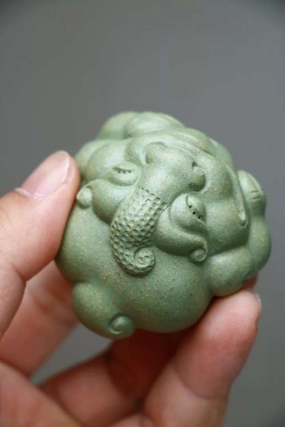 招财金蟾学名,招财金蟾图片