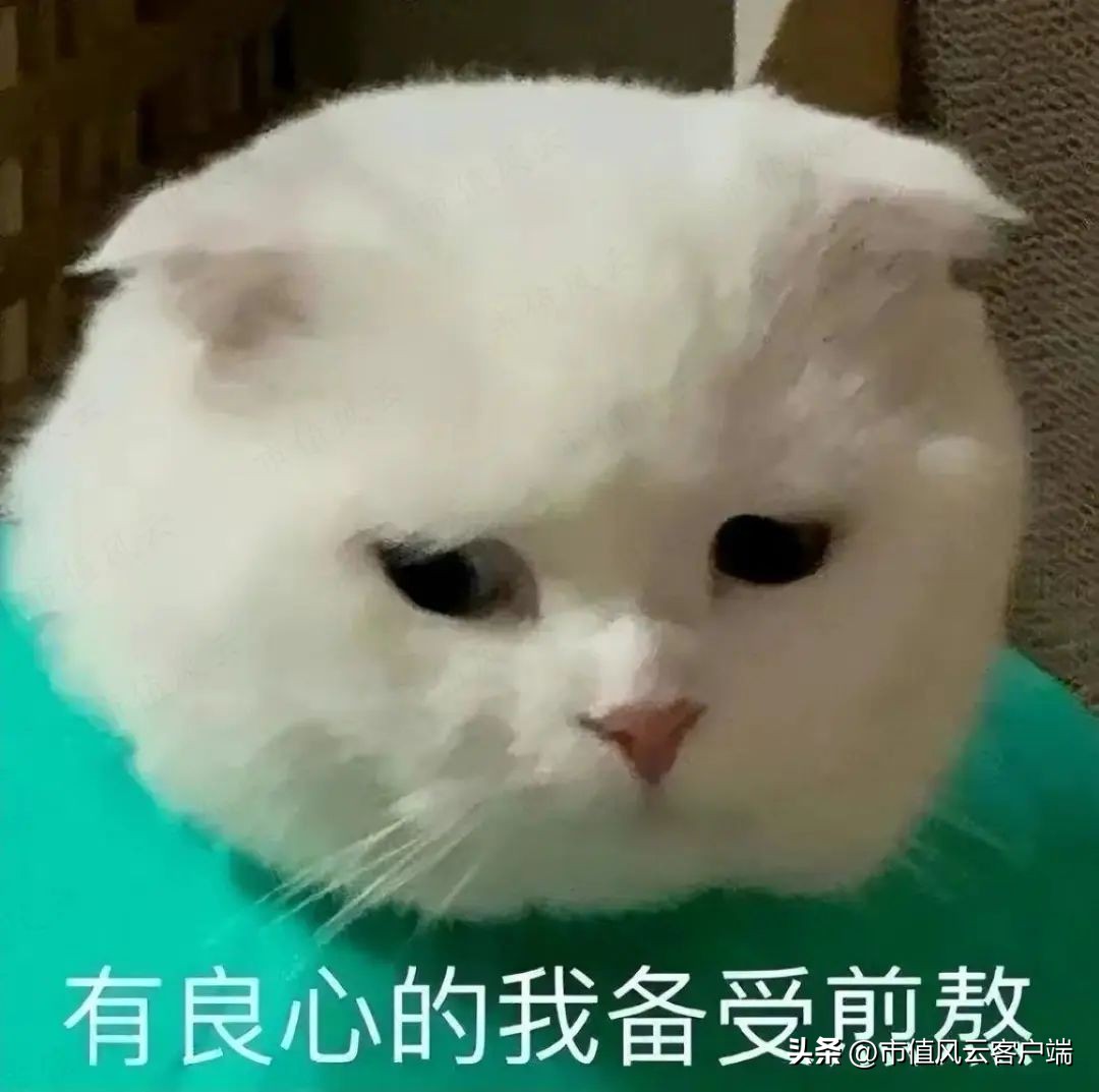 三五互联：老玩家搞丢劣迹斑斑的壳，新玩家上场就追“光”