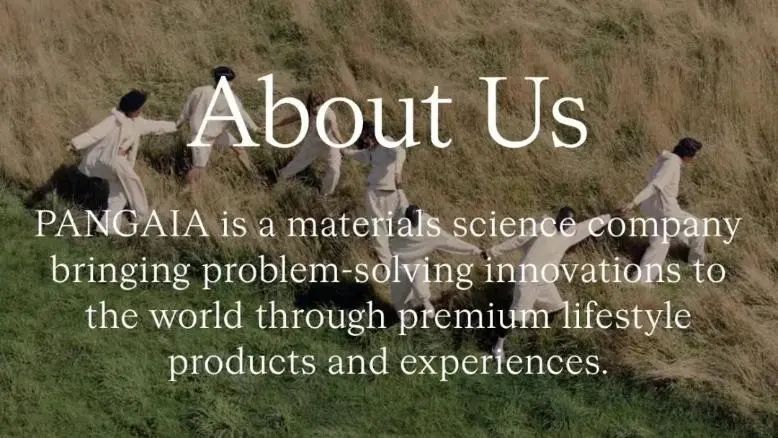 QQ迎24周岁；7喜换新LOGO；京东将上线百亿补贴对标拼多多|营销周报