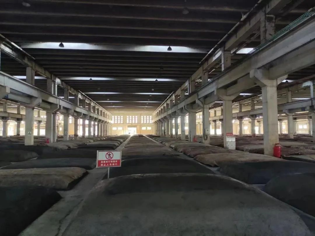 “崃·就业”入企直播走进金六福啦！