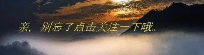 儿媳杀公公真实事件,案件纪实儿媳杀公公案